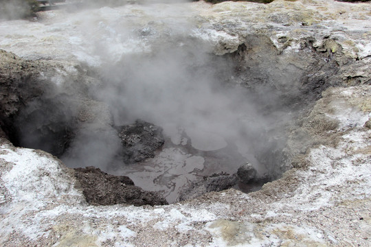 罗托鲁阿泥火山