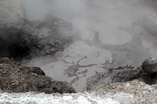 罗托鲁阿泥火山