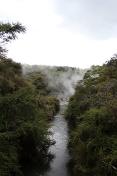 鸭子湖