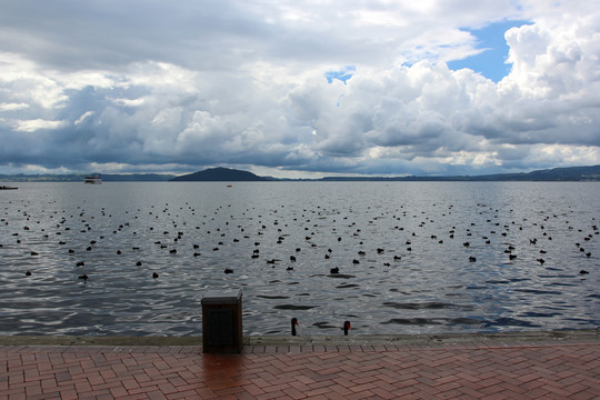 鸭子湖