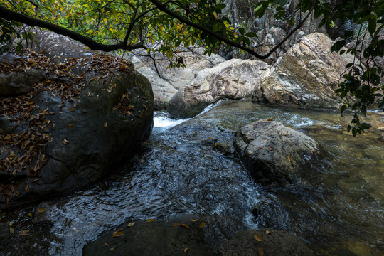 小溪风景