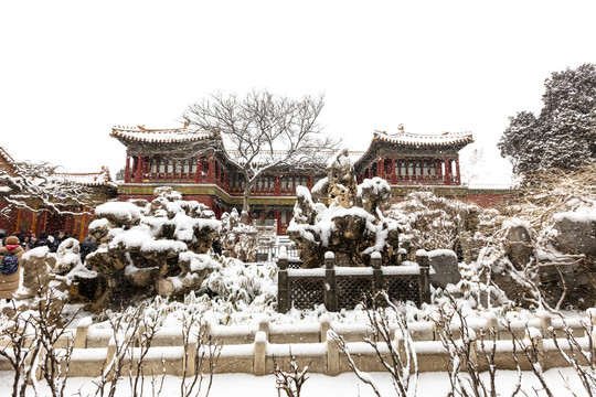 故宫御花园雪景