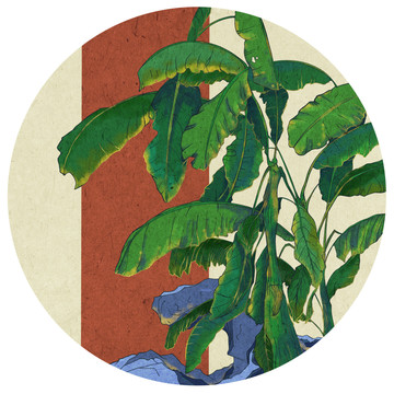 國(guó)畫芭蕉