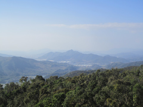 三亚度假天堂森林公园风景区