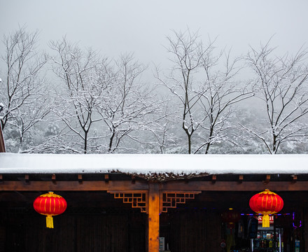 武功山雪景雾凇树挂