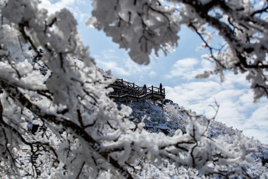 武功山雪景雾凇树挂