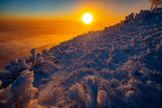 武功山雪后日出