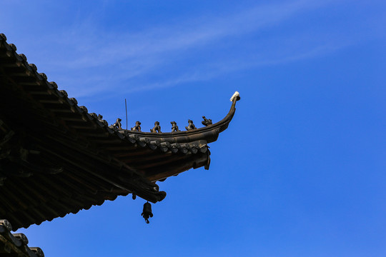 绍兴平阳寺