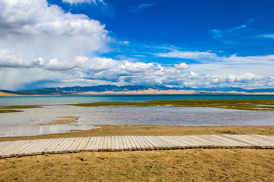 青海湖沙岛