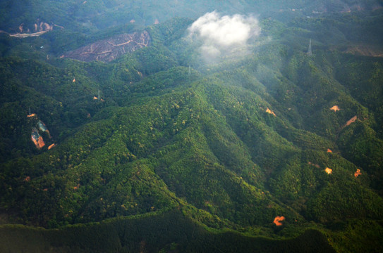 山区山林