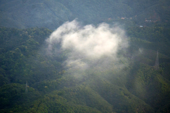 山区山林