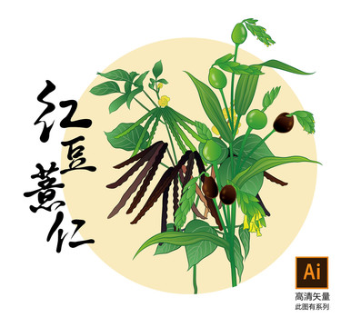 红豆薏仁米