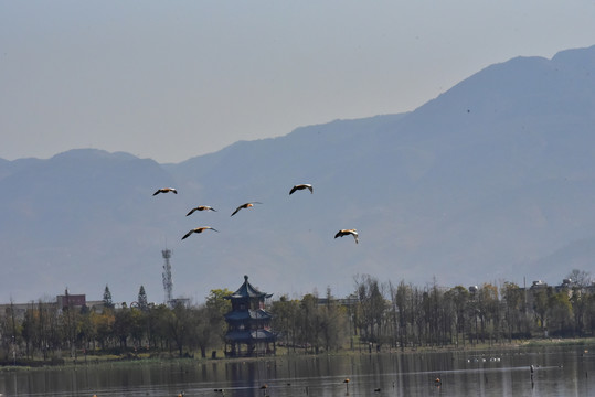 清华海美景