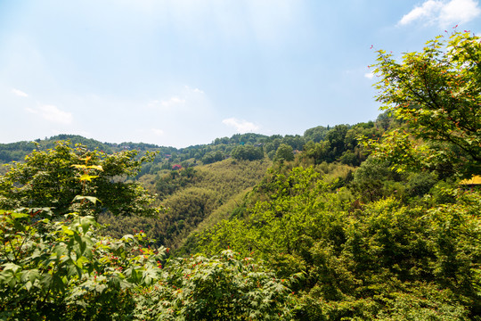 大山青山群山