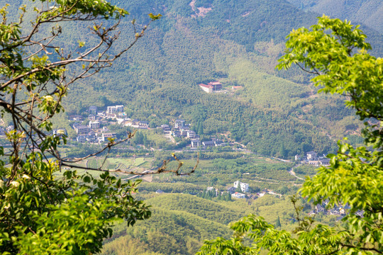 大山里的村落