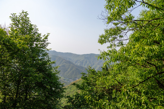 青山远山