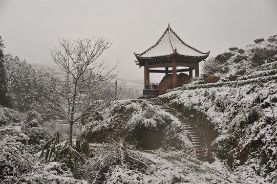 北苑贡茶凿字岩摩崖茶园雪景