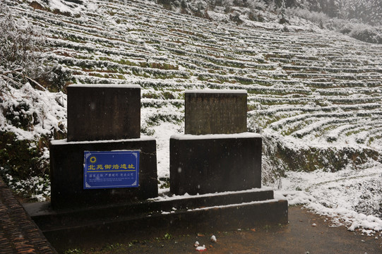 北苑贡茶遗址茶园雪景