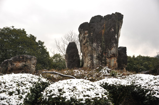 北苑凤凰山凤冠岩茶园雪景