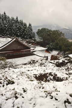 茶神庙北苑茶园雪景