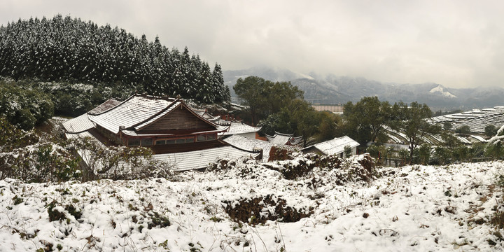 茶神庙北苑茶园雪景