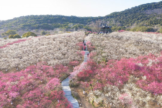 香山风景区