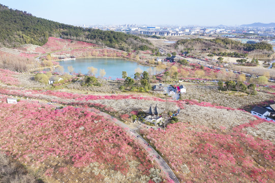 香山风景区