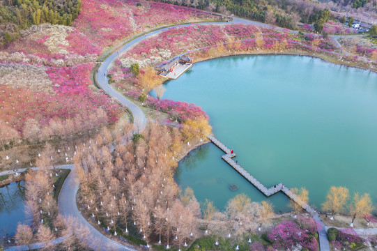 香山风景区