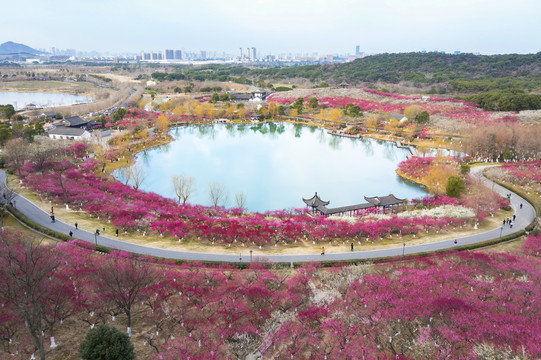 香山风景区