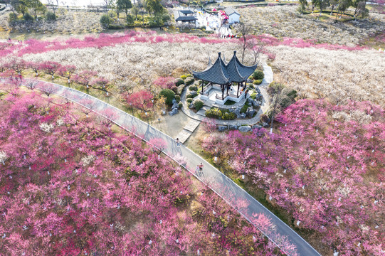 香山风景区