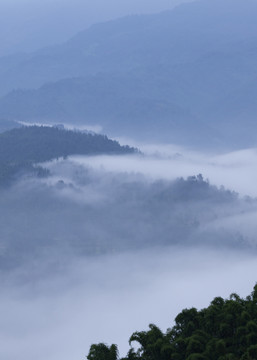 高山云海沟壑云雾缭绕