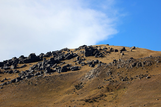 新西兰南岛城堡山