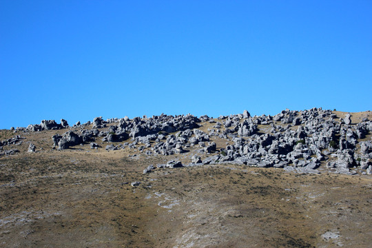 新西兰南岛城堡山