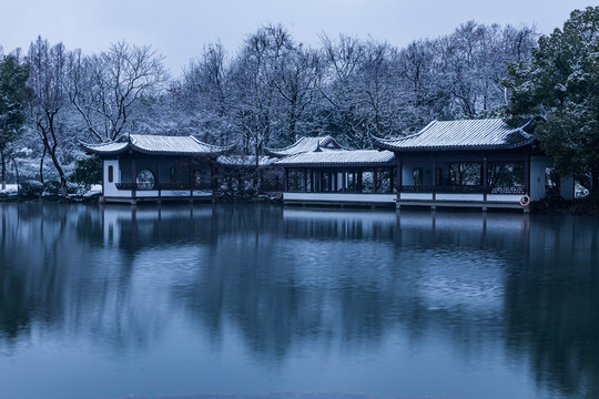 杭州曲院风荷雪韵