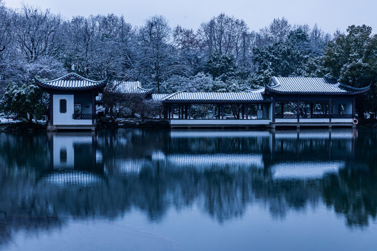 杭州曲院风荷雪韵