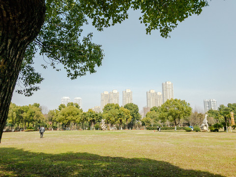 城市公园草坪