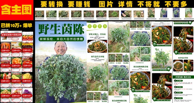 野生茵陳詳情