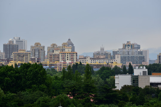 在一片绿树掩映下的城市楼群