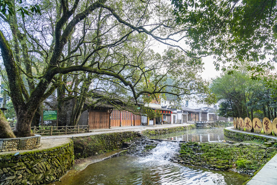 江西婺源汪口景区风光