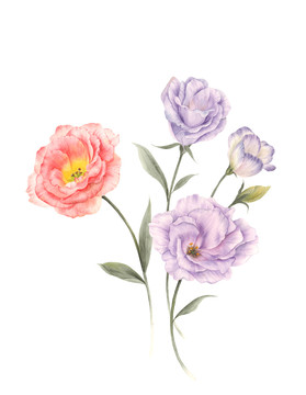 手繪小花組合