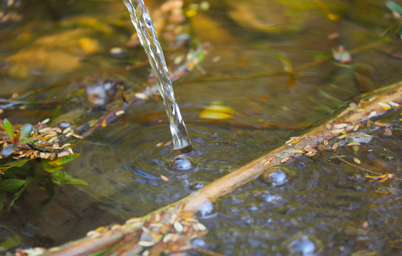 水流在湖里产生的小气泡抓拍