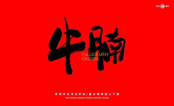 牛腩