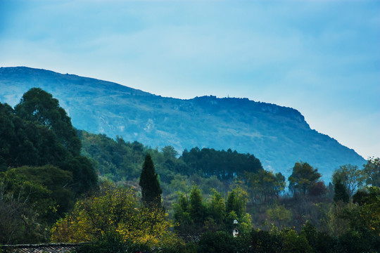 大山森林