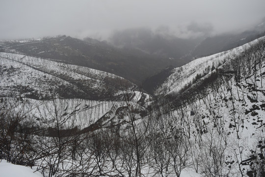 雪中核桃山