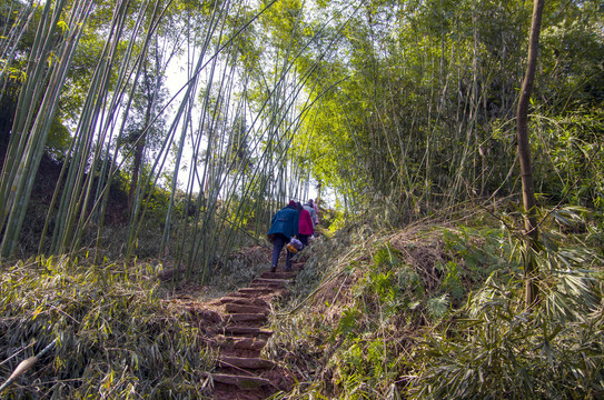 石板路