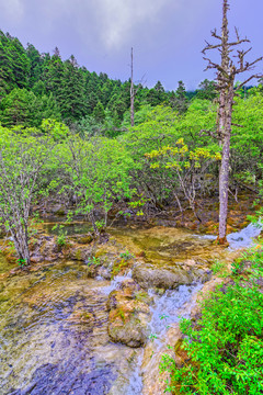 四川黄龙风景区