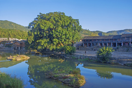 云水谣小溪边的风景