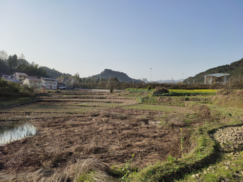 农村荒芜的田地