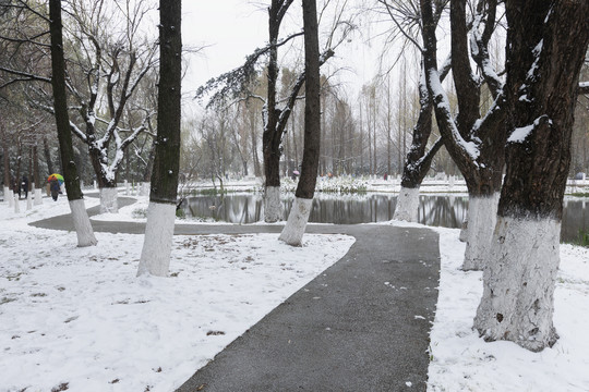 雪地蜿蜒道路