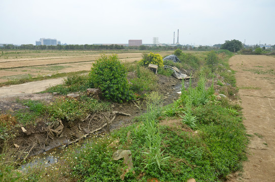 水沟污染